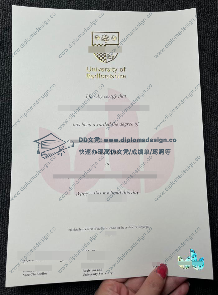贝德福特大学毕业证