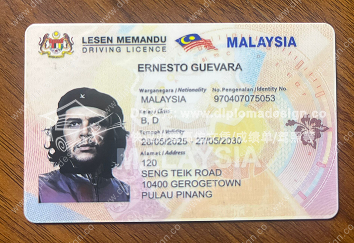 马来西亚驾照