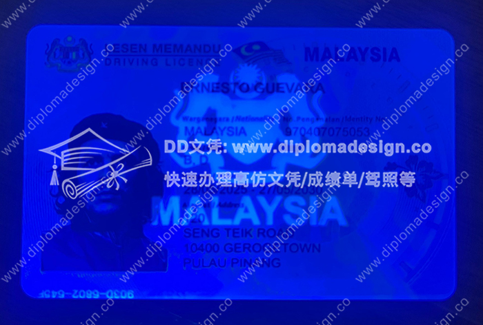马来西亚驾照正面带荧光