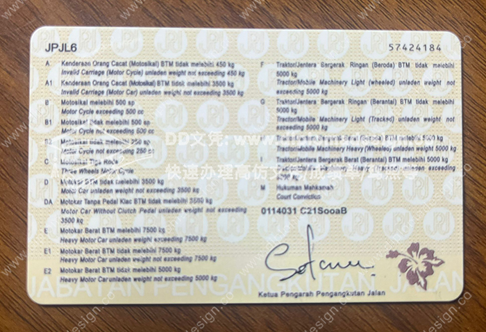 马来西亚驾照背面