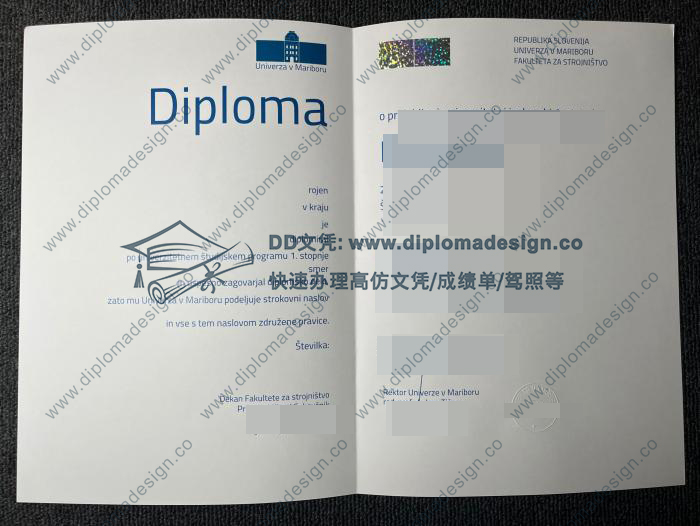 马里博尔大学文凭