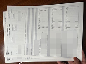 不列颠哥伦比亚大学成绩单-1