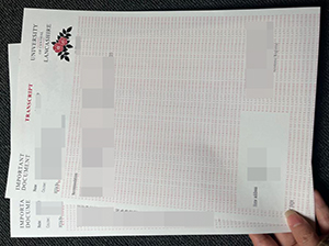 中央兰开夏大学成绩单-1