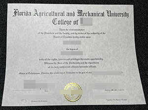 佛罗里达农工大学文凭-1