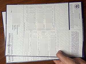 利伯缇大学成绩单-1