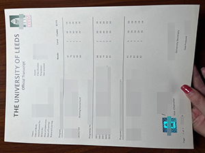 利兹大学成绩单-1