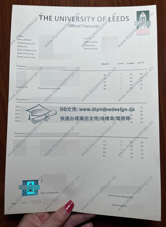 利兹大学成绩单