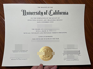 加州大学河滨分校文凭-1