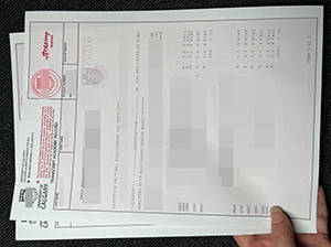 卡尔加里大学成绩单-1