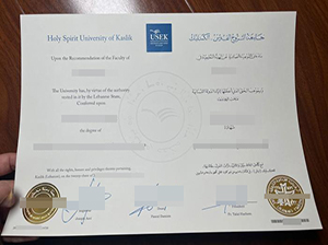 卡斯里克圣灵大学毕业证-1