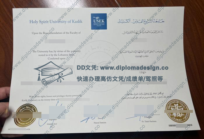 卡斯里克圣灵大学毕业证