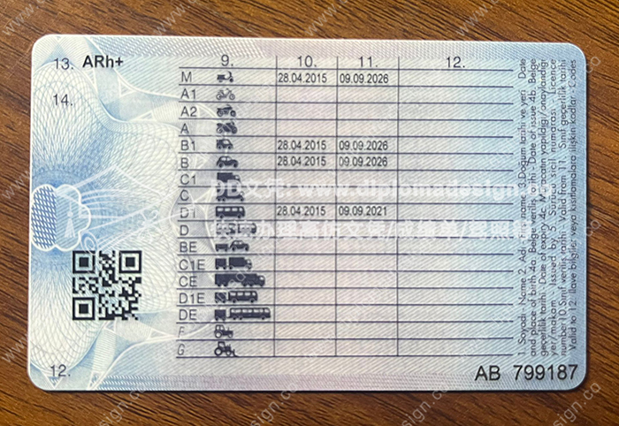 土耳其驾照背面