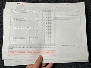 圣力嘉学院成绩单-1