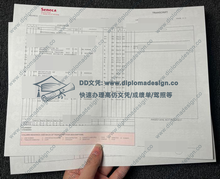 圣力嘉学院成绩单