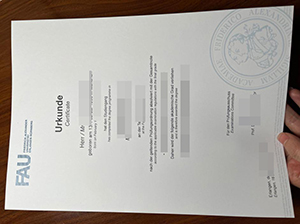 埃尔朗根-纽伦堡大学文凭-1