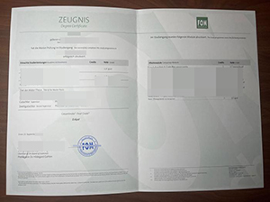 埃森经济管理应用技术大学成绩单-1