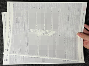 多伦多大学成绩单-1