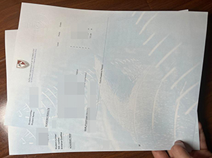 奥克兰理工大学成绩单-1