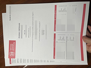 布伦瑞克工业大学成绩单-1