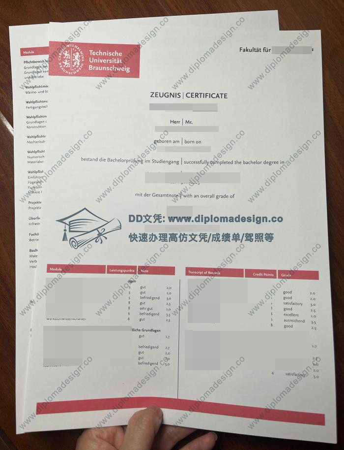 布伦瑞克工业大学成绩单