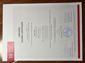 布伦瑞克工业大学毕业证-1