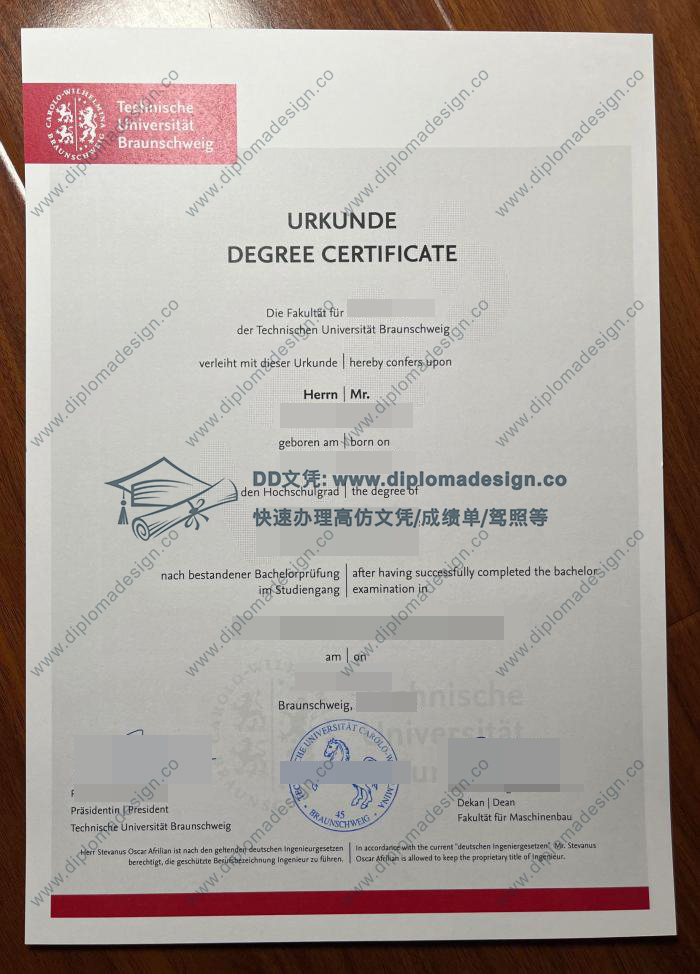 布伦瑞克工业大学毕业证