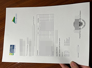 布尔根兰应用技术大学成绩单-1