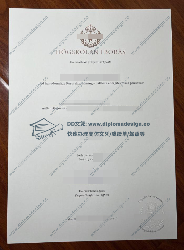 布罗斯大学毕业证