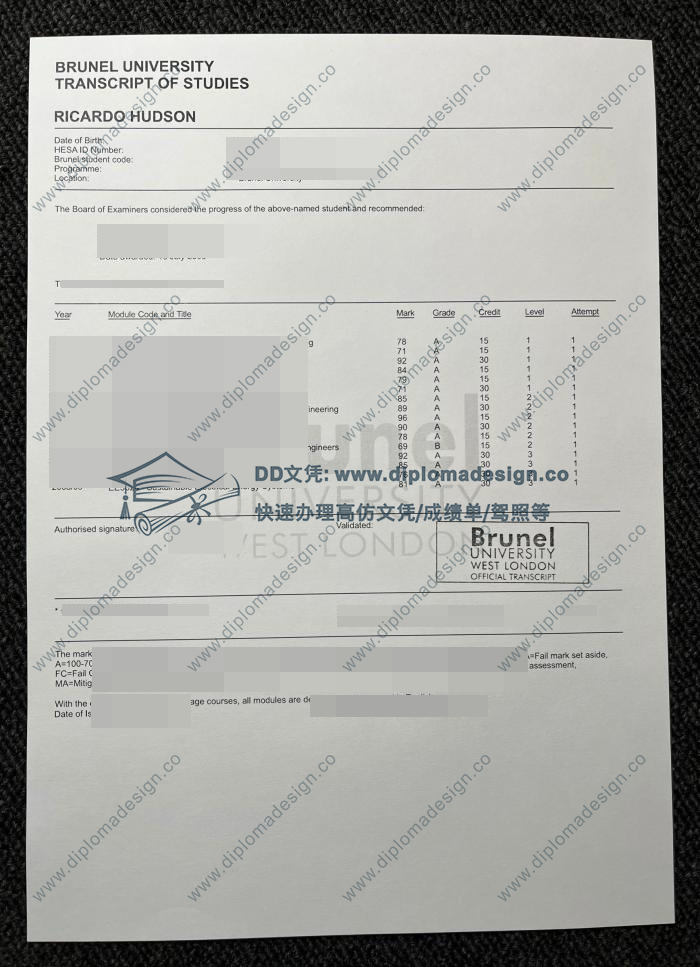 布鲁内尔大学成绩单