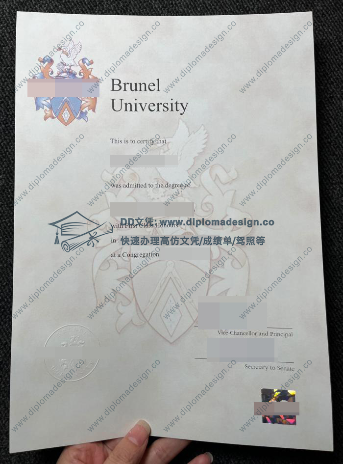 布鲁内尔大学文凭