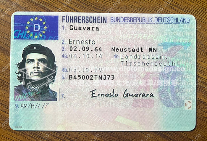德国驾照