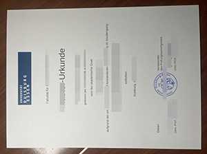 杜伊斯堡-埃森大学文凭-1