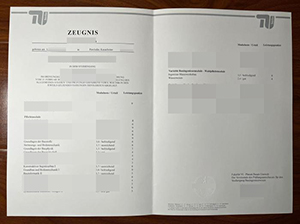 柏林工业大学成绩单-1