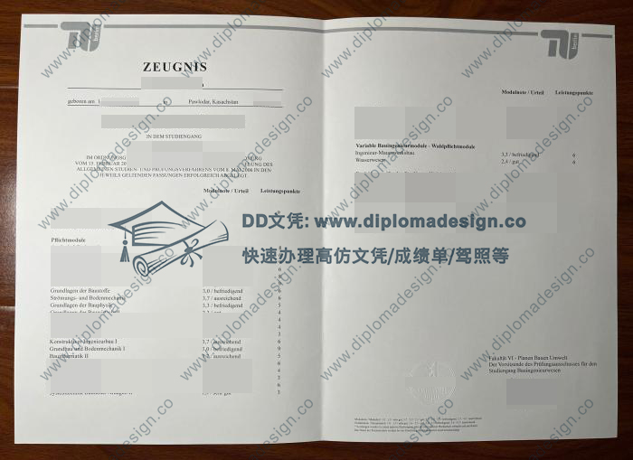 柏林工业大学成绩单