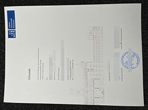 汉诺威大学毕业证-1