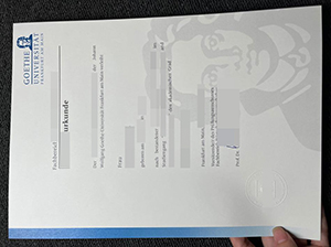 法兰克福大学文凭-1