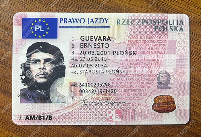 波兰驾照