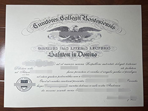 波士顿学院文凭-1