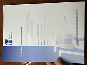 海牙应用科技大学文凭-1