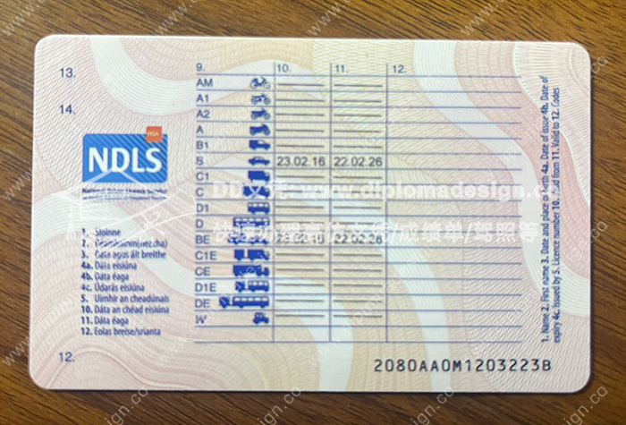 爱尔兰驾照背面