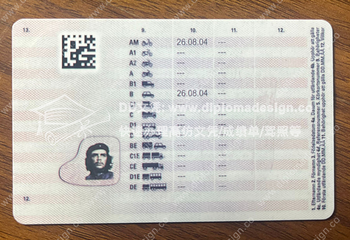 瑞典驾照背面