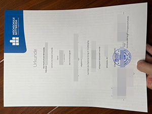 米特韦达应用技术大学文凭-1