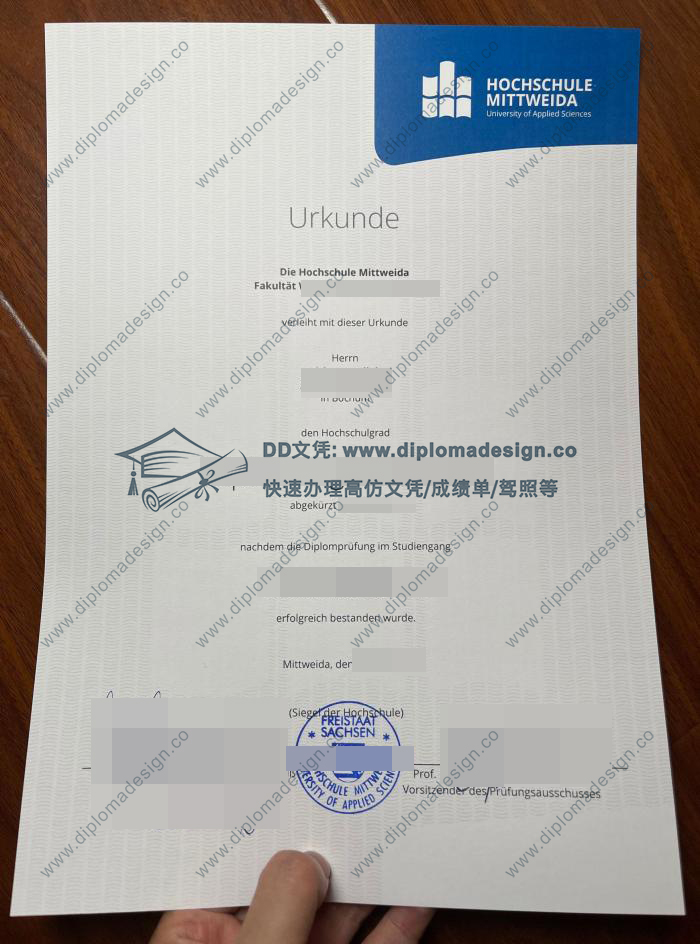 米特韦达应用技术大学文凭