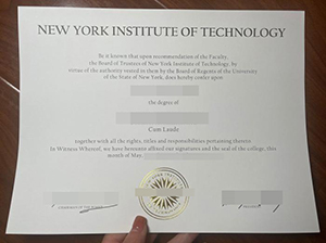 纽约理工学院文凭-1