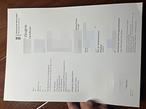 罗伊特林根应用技术大学成绩单-1