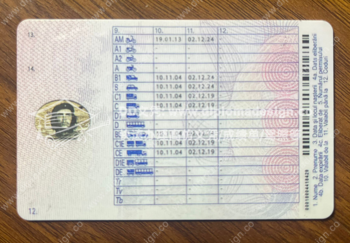 罗马尼亚驾照背面