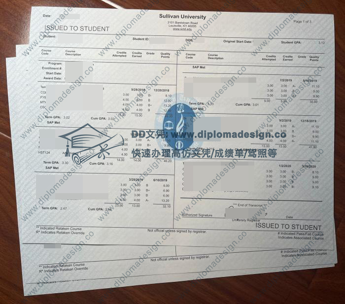 萨利文大学成绩单