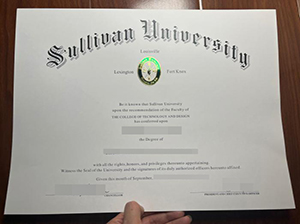 萨利文大学文凭-1