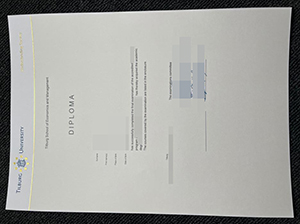 蒂尔堡大学毕业证-1