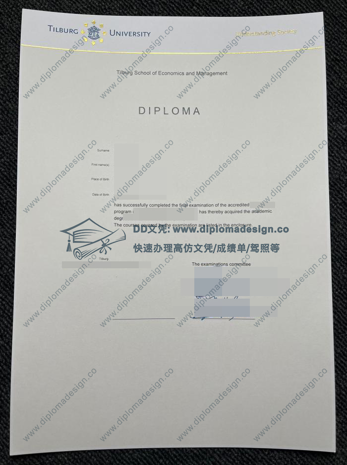 蒂尔堡大学毕业证